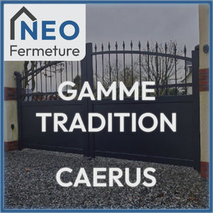 Portail Coulissant Tradition Caerus