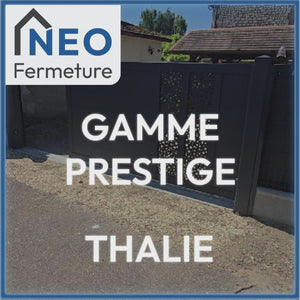 Portail Battant Prestige Thalie